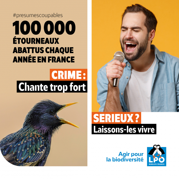CAMPAGNE ESOD VISUEL3