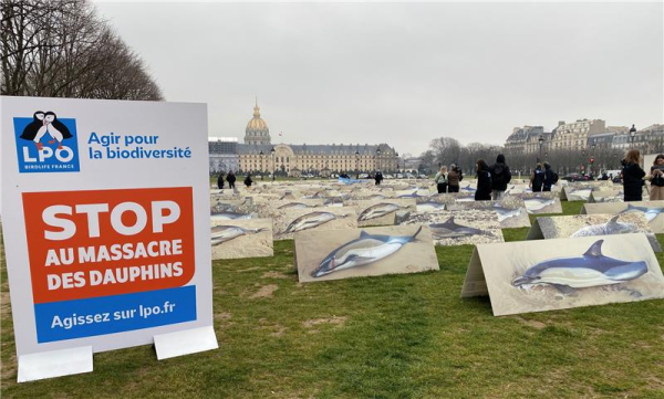 Mobilisation dauphins aux Invalides