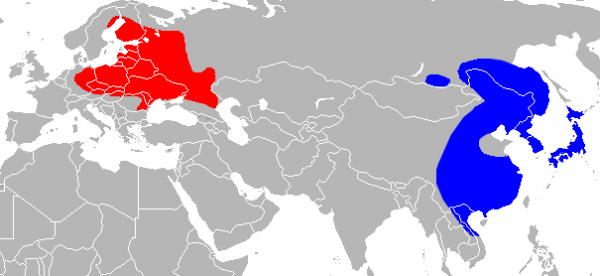 Aire de répartition du Chien viverrin.