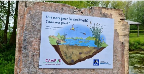 Panneau "une mare pour la biodiversité : y avez-vous pensé ?"