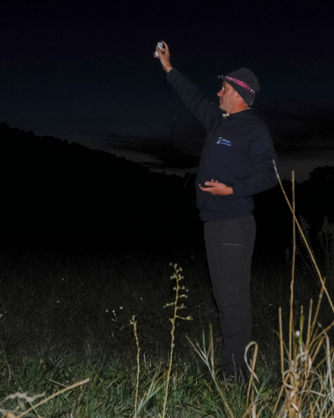 Suivi nocturne de la Chev&ecirc;che d'Ath&eacute;na &copy; LPO PACA