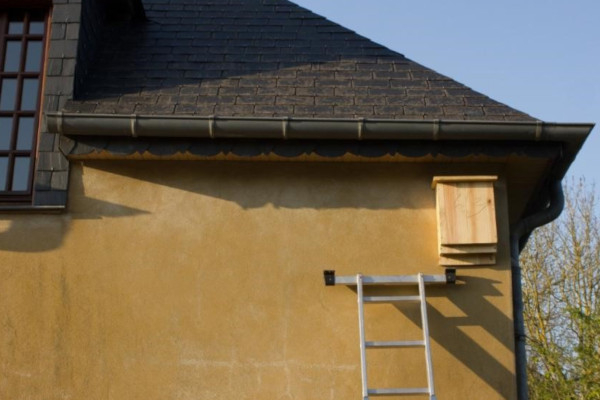 Pose d’un gîte à chauves-souris sur une façade exposée plein sud