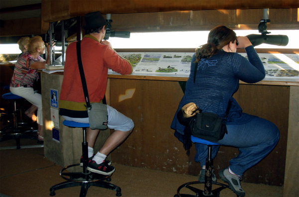 Public en train d'observer la faune du site depuis l'observatoire équipé en longues-vues