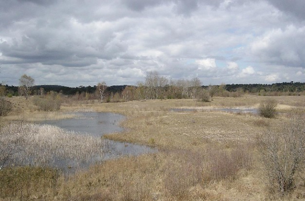 Plaine de Chanfroy