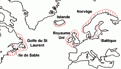 Carte présence de phoques gris