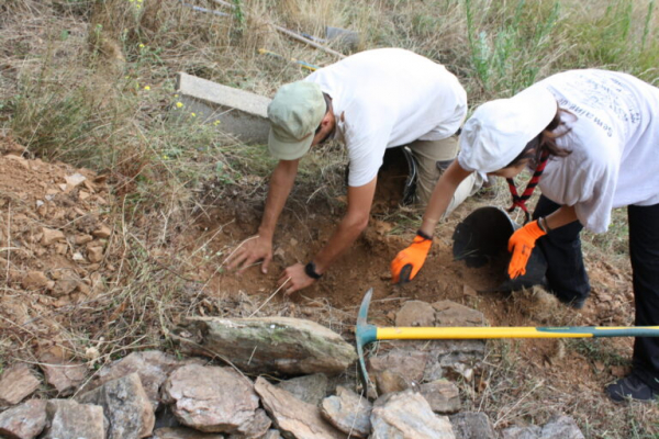 Chantier scouts