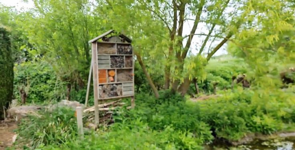 Hôtel à insectes