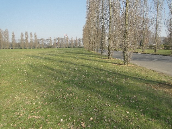 Cimetière parisien de Thiais : allée