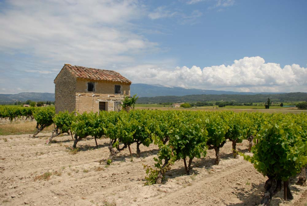 Cabanon dans un paysage ouvert &copy; Olivier Hameau