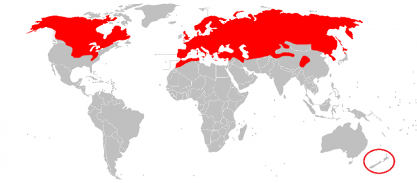 Aire de répartition de la belette