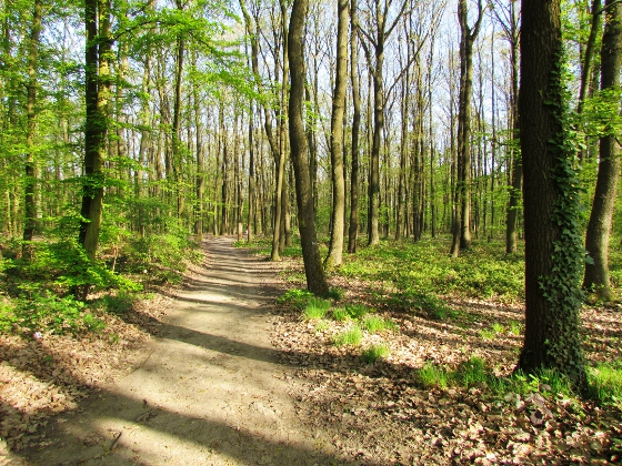 Le parc d&eacute;partemental de la Fosse Maussoin