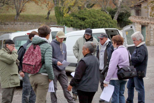 Rendez-vous pour le relâcher des Vautours moines