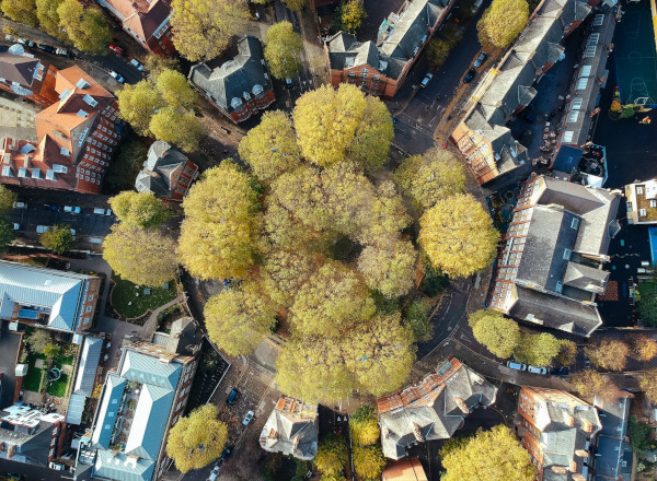 Place Robert Bye à Londres, vue du ciel / Unsplash