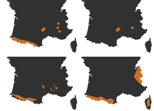 Cartes répartitions des vautours en France. En haut à gauche : Vautour fauve ; à droite : Vautour moine En bas à gauche : Vautour percnoptère ; à droite : Gypaète barbu