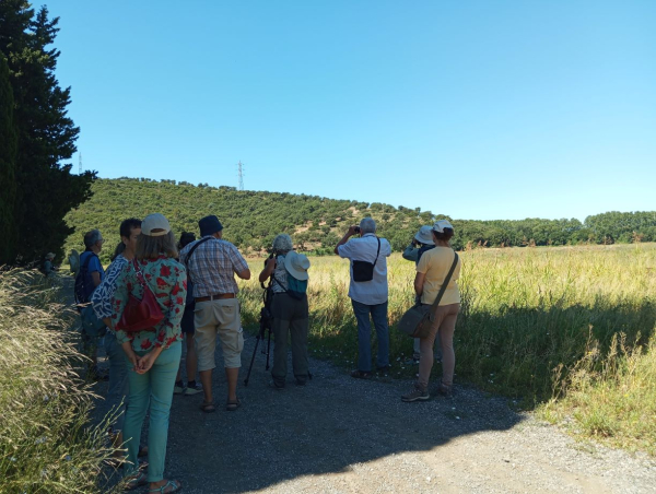 Une sortie au Plan du Pont &copy; Groupe local LPO Hy&egrave;res Les Maures