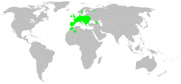 aire de répartition de la Mygale commune