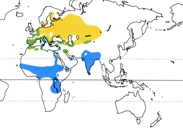 Répartition mondiale Busard des roseaux