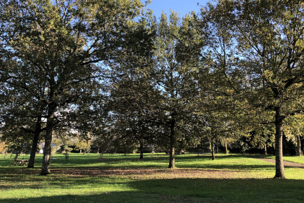 Parc urbain © Nicolas Macaire LPO