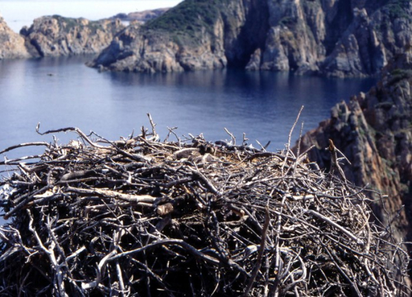 Aire sur piton rocheux en Corse