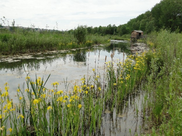Etang parc départemental de la Haute-Île