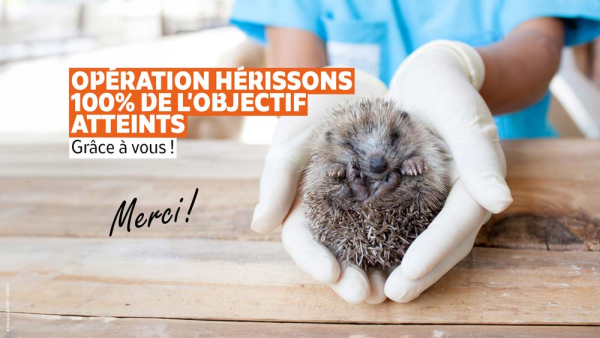 Gr&acirc;ce &agrave; vous, le projet a pu voir le jour. Merci !