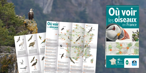Carte "O&ugrave; voir les oiseaux en France" &eacute;dit&eacute;e par la LPO et la F&eacute;d&eacute;ration des parcs naturels r&eacute;gionaux