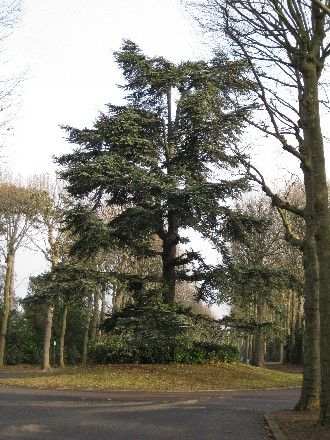 Cimetière parisien de Bagneux