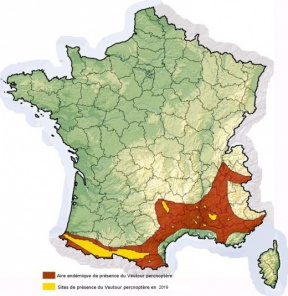 Distribution du Vautour percnoptère en France