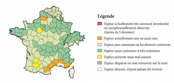 Répartition de l'Oreillard roux en France