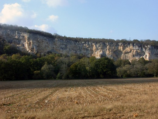 Habitat naturel de nidification