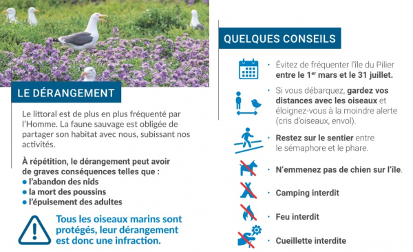 Extrait de la plaquette du Conservatoire du Littoral distribuée aux plaisanciers cet été 2022 par la LPO Vendée