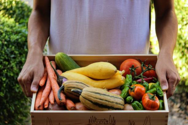 Panier de légumes bio © istock