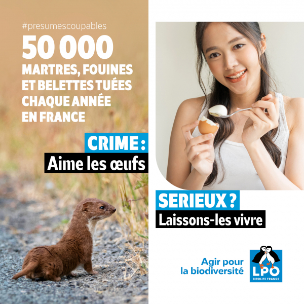CAMPAGNE ESOD VISUEL4