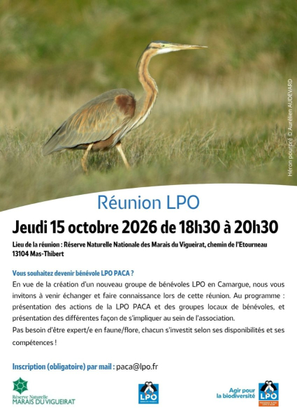 Affiche r&eacute;union groupe local LPO Camargue
