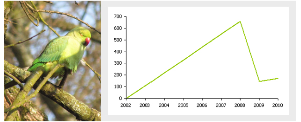 Perruche &agrave; collier et son &eacute;volution en &Icirc;le-de-France d'apr&egrave;s les donn&eacute;es Oroc