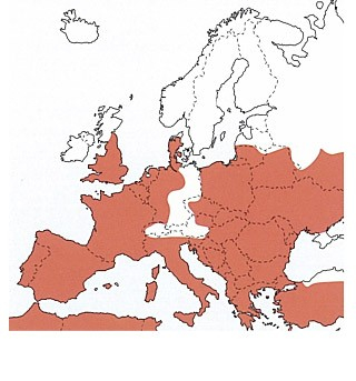 Carte de répartition de la Chevêche en Europe, Carte fournie avec l’aimable autorisation de Kosmos éditions, extrait Mebs T., Scherzinger W., 2006, Rapaces nocturnes de France et d’Europe, éditions Delachaux et Niestlé, Paris