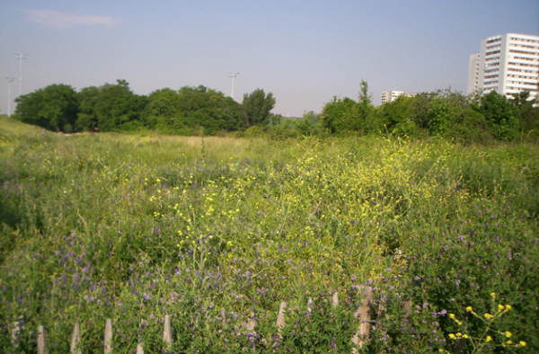 Le parc d&eacute;partemental Jean Moulin