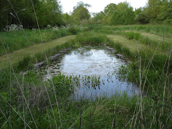 Bassin v&eacute;g&eacute;talis&eacute; dans un Refuge LPO
