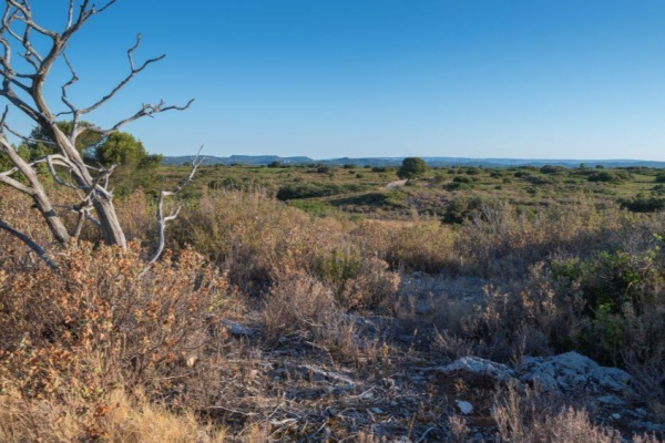 Garrigues de Lan&ccedil;on &copy; Olivier Hameau