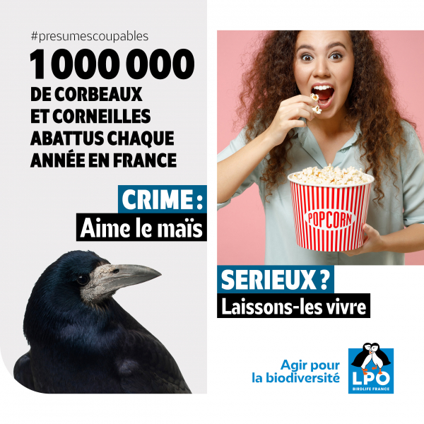 CAMPAGNE ESOD VISUEL2(1)