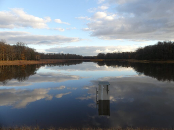 Etang du Grand Albert en eau – Jean-Marc Taupiac