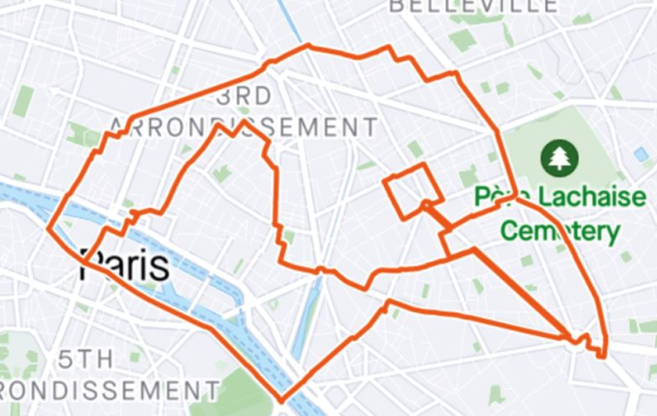 Exemplaire d'un parcours qui représente la tête d'un oiseau