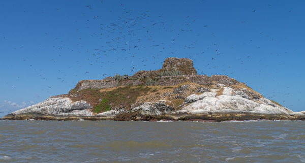 R&eacute;serve naturelle nationale de l'&Icirc;le du Grand Conn&eacute;table