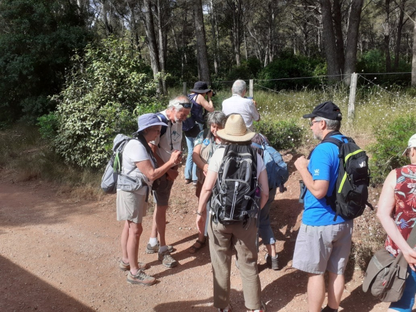 Une sortie au Domaine de Fabr&eacute;gas &copy; Groupe local LPO Hy&egrave;res Les Maures
