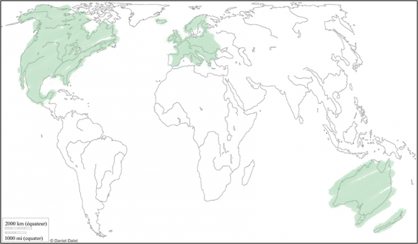 Robinier carte du monde