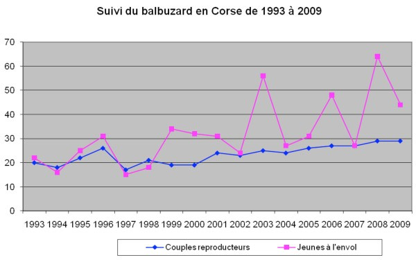 Suivi du Balbuzard en Corse de 1993 à 2009