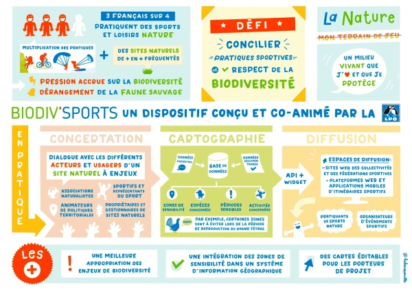 Infographie de l'ensemble des actions du dispositif Biodiv'Sports qui vise &agrave; concilier pratique sportive et respect de la biodiversit&eacute; : concertation, cartographie et diffusion