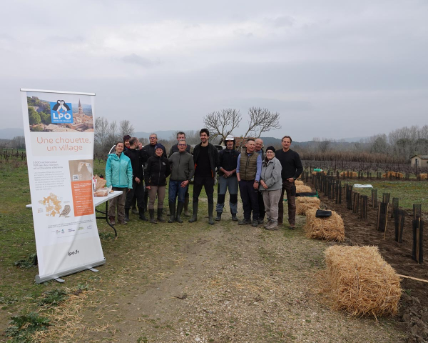 Chantier de plantation de haies &agrave; Cadenet &copy; Ana&euml;lle Francia