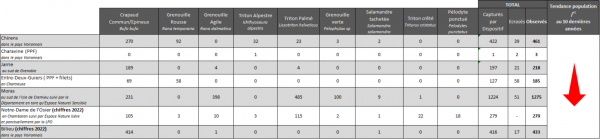 Bilan des chiffres de suivis filets et/ou PPF