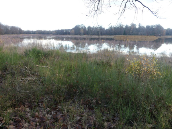 Etang du Grand Albert en eau – Jean-Marc Taupiac